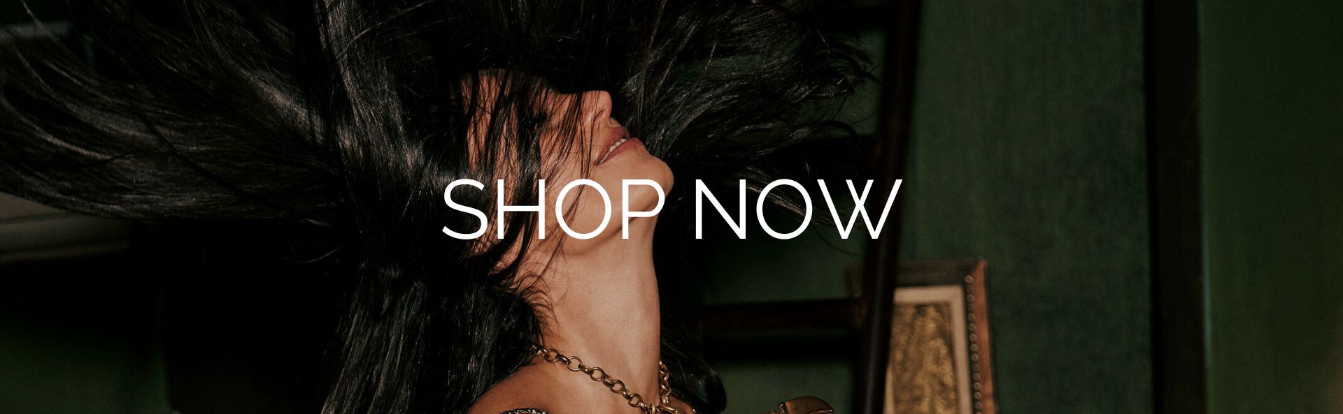 HOME_SHOP_NOW_BANNER_DESK